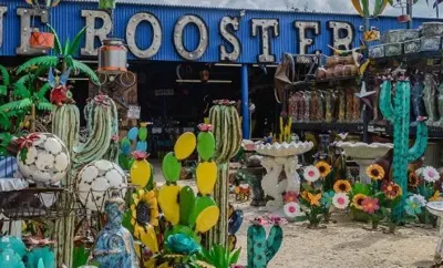 Blue Rooster Home & Garden Decor, LCC., business photo 1